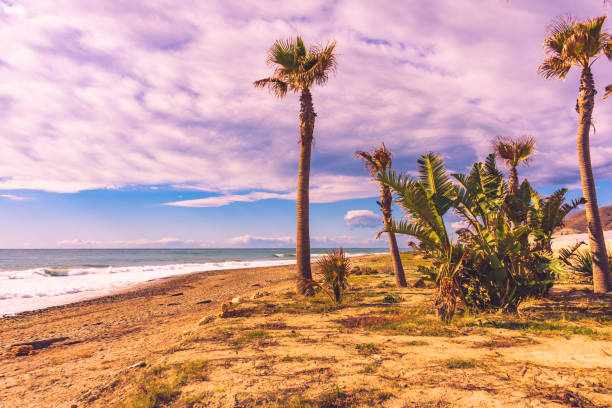 Seaside landscape. Carchuna sandy beach with palm trees. Costa tropical, province Granada. Andalucia Spain.