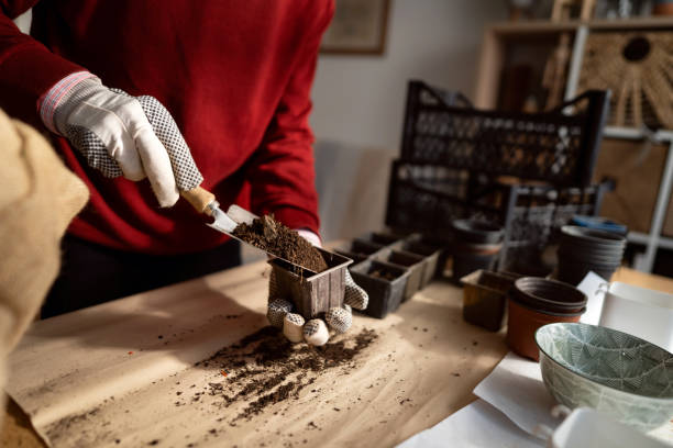 istock Unrecognizable senior man, filling the pots with compost 1389671927