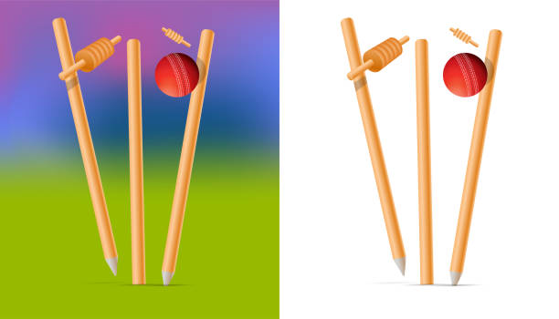 cricket ball hitting wickets out, cricket concept cricket ball hitting wickets out, cricket concept cricket stump stock illustrations