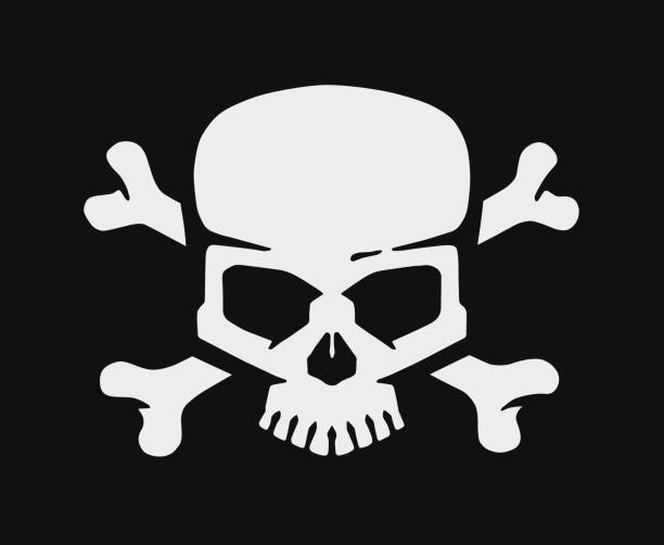 illustrations, cliparts, dessins animés et icônes de crâne et os. jolly roger drapeau vectoriel pirate. - pirate corsair cartoon danger