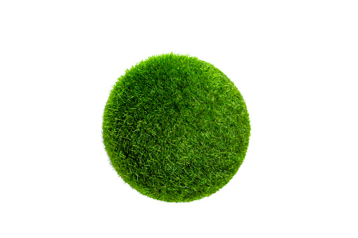 Isolated on white background ball covered with artificial grass. Circular shape with artificial turf surface. Design element.