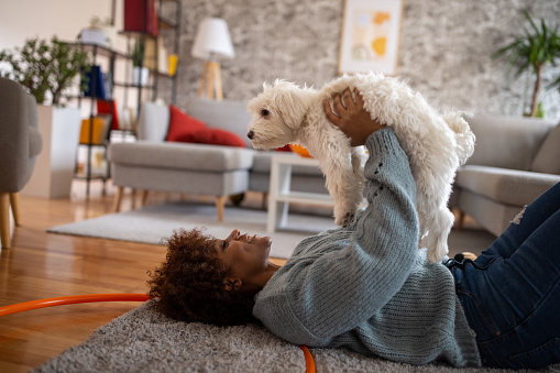 Woman Black ethnicity playing with her Maltese puppy in the living room