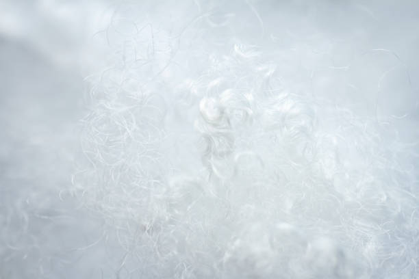 istock Extreme macro of polyester stable fiber 1389683381