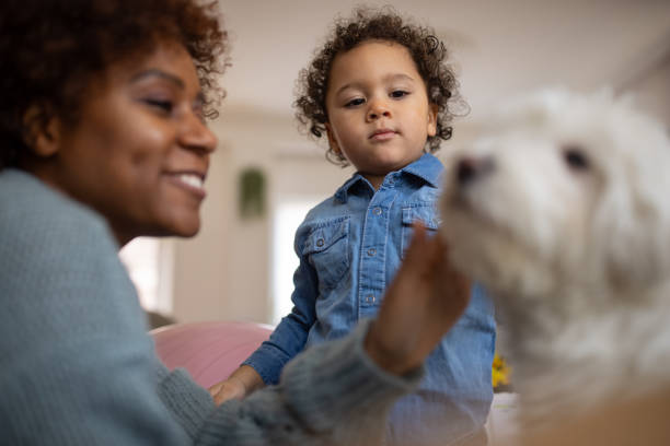 istock Mother and son Black ethnicity petting their Maltese dog 1389683407