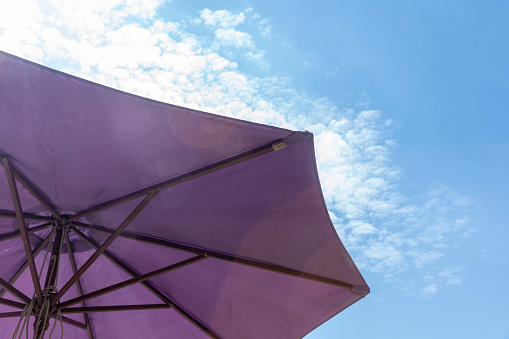 Purple garden parasol.