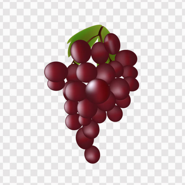 ilustrações, clipart, desenhos animados e ícones de uvas vermelhas realistas em um fundo transparente. - red grape grape fruit sweet food