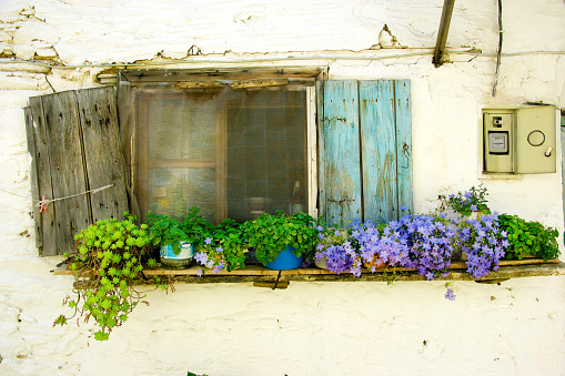 Le Vercors, France: Window with Plants on Sill
