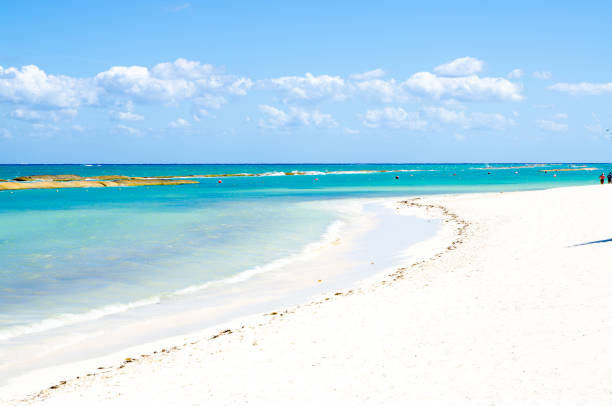 istock Caribbean sea and beach 1389696512