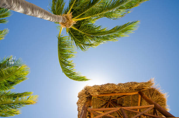 Wooden Lifeguard watch tower seen from below in Playa del Carmen during day of March