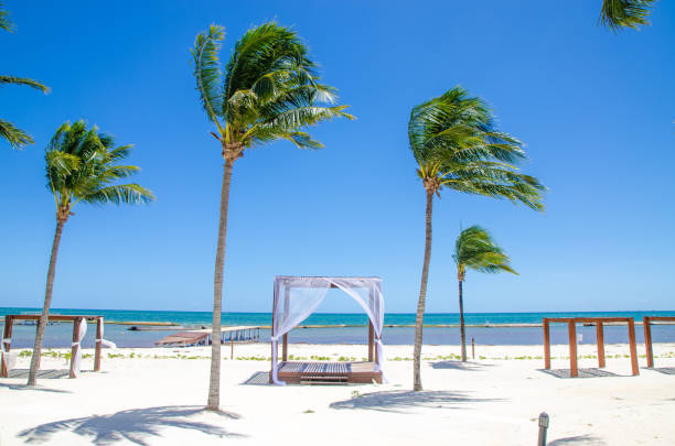 Resting gazebos on the Playa del Carmen beach Resting gazebos on the Playa del Carmen beach during day of March playa del carmen stock pictures, royalty-free photos & images