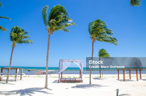 Resting Gazebos On The Playa Del Carmen Beach Stock Photo - Download Image Now - Playa Del Carmen, Beach, Gazebo