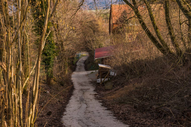 uma estrada de fazenda asfaltada leva íngreme ao longo da borda do campo para casas no campo na alemanha - treelined forest at the edge of scenics - fotografias e filmes do acervo