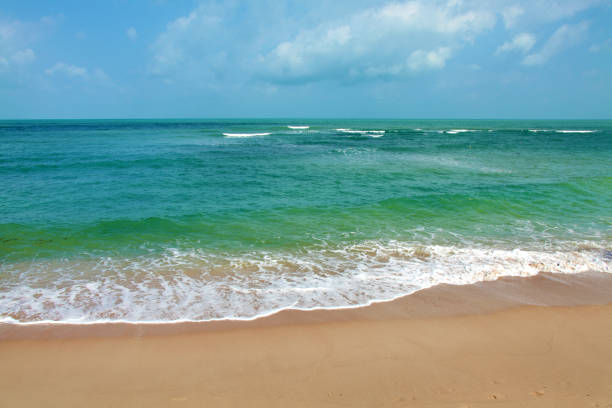 Tropical island beach in Ko Samui island, Thailand
