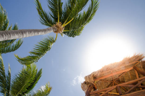Wooden Lifeguard watch tower seen from below in Playa del Carmen during day of March