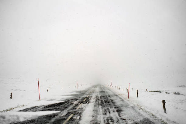 istock Road in a snow storm 1389698713
