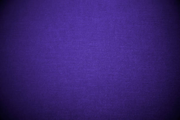 istock Close-up of very peri colored velvet sofa. 1389705175