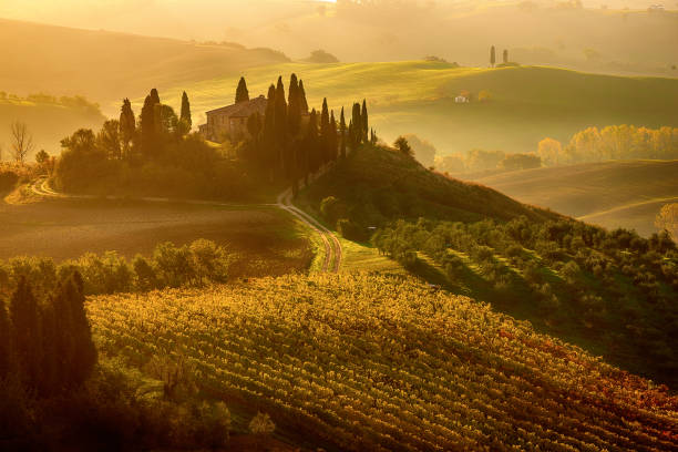 istock Sunrise in Italy 1389705293