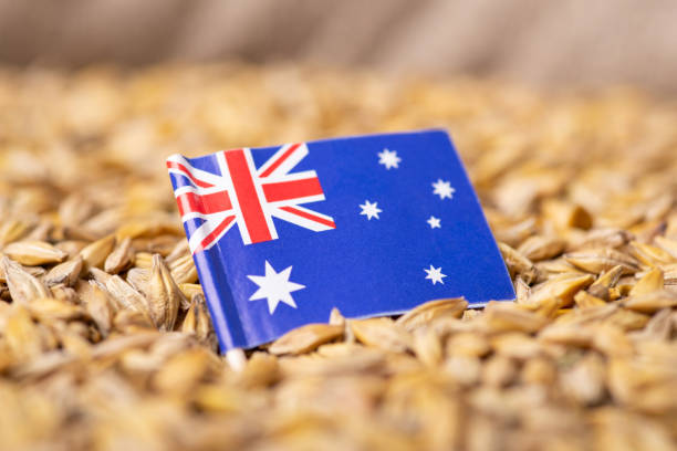 istock Flag of Australia on barley grain 1389712056