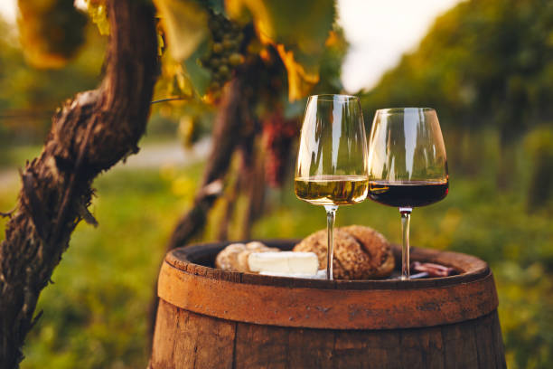 dos copas de vino blanco y tinto en una barrica vieja afuera en el viñedo - wine cheese glass gourmet fotografías e imágenes de stock