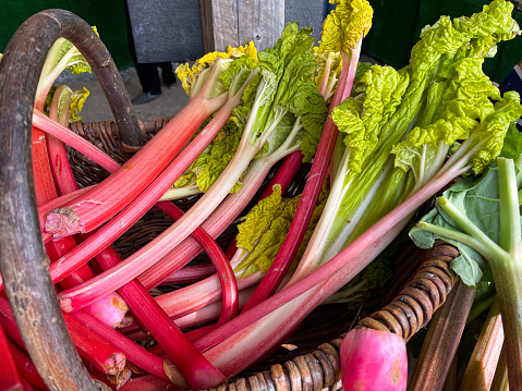 Stock photo showing a close-up view of group of fresh rhubarb stalk being sold in a fruit and vegetable market.
