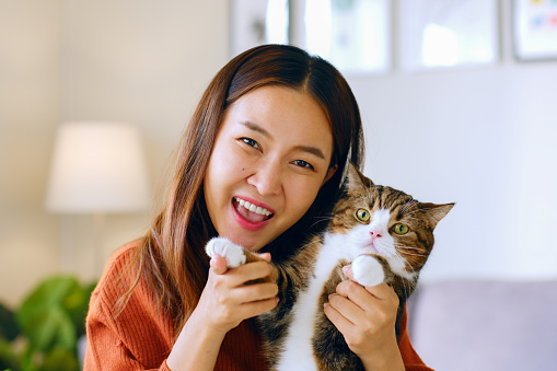 Young Asian woman and her pet, cat talking on facetime, video call at home, look at camera webcam view