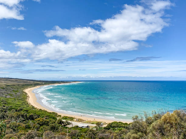 urquhart bluff in anglesea, great ocean road, victoria, australien - australian culture landscape great ocean road beach stock-fotos und bilder