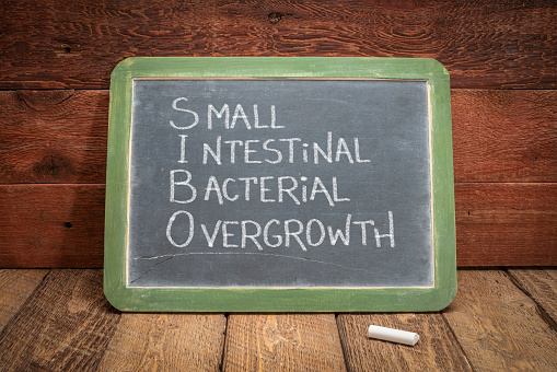 SIBO - small intestinal bacterial overgrowth, white chalk handwriting on a retro slate blackboard, medical education concept