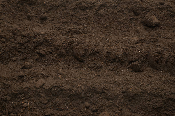 istock Black land for plant background. Top view. 1389727844