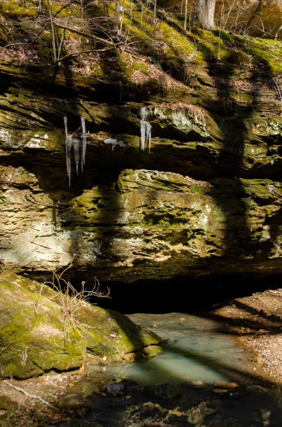 parc d’état de ferne clyffe - big rocky hollow trail icicles & small cave - cave fern flowing forest photos et images de collection