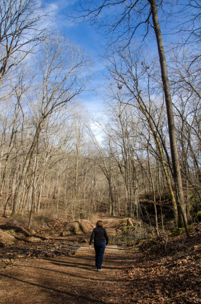 istock Ferne Clyffe State Park - Hiker on Big Rocky Hollow Trail 1389734357