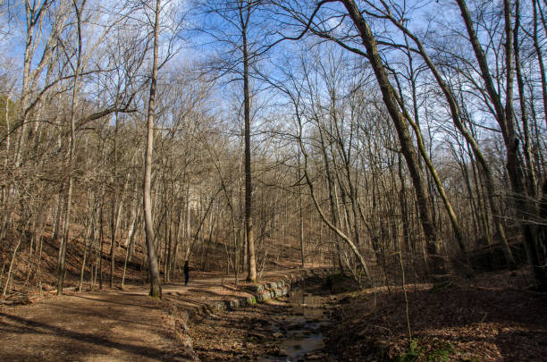 istock Ferne Clyffe State Park - Hiker Beside a Stream on Big Rocky Hollow Trail Horizontal 1389734523