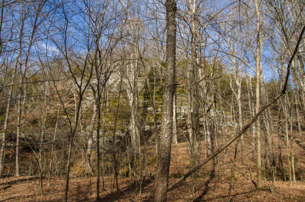 istock Ferne Clyffe State Park - Big Rocky Hollow Trail Winter Skies Horizontal 1389734573