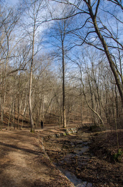 istock Ferne Clyffe State Park - Hiker Beside a Stream on Big Rocky Hollow Trail Vertical 1389734919