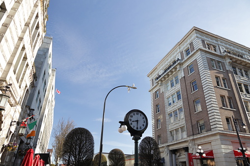 Victoria, Canada - March 30, 2022: Low angle view of a street clock and building exteriors on the 1200-block of Government Street at View Street. Government Street is home to a commercial district in British Columbia's provincial capital. A lone seagull observes from his perch on a street lamp.