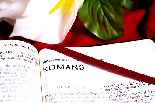 Bible Open to the beginning of the book of Romans, New Testament.\nRed satin bookmark is across the page.\nBackground is a White lily on red tablecloth.