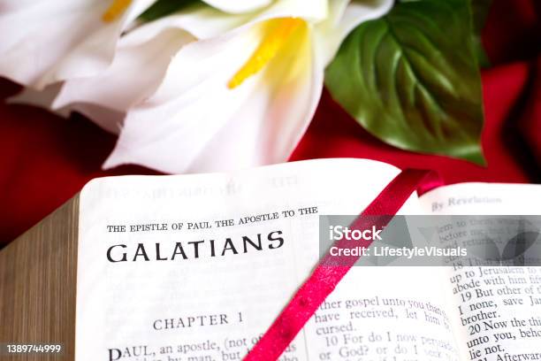 Bible Open To The Beginning Of The Book Of Galatians New Testament Red Satin Bookmark Is Across The Page Background Is A White Lily On Red Tablecloth Stock Photo - Download Image Now