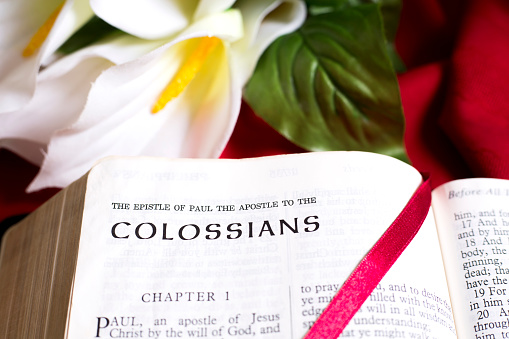 Bible Open to the beginning of the book of Colossians, New Testament.\nRed satin bookmark is across the page.\nBackground is a White lily on red tablecloth.