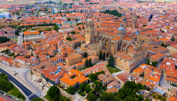 istock Panoramic top view of Salamanca 1389746552