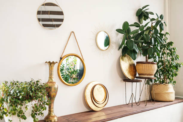 Stylish space with mirrors and plants: ficus benjamin, ficus elastica, Portulacaria. Space with mirrors and plants: ficus benjamin, ficus elastica, Portulacaria indian rubber houseplant stock pictures, royalty-free photos & images