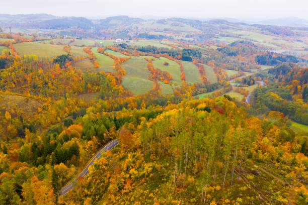 istock Autumn hilly landscape with winding road 1389750828