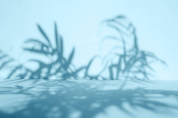 istock Palm leaves shadow on blue wall background and pastel floor. Summer tropical beach background. Empty room for product presentation. Minimal concept. 1389751052