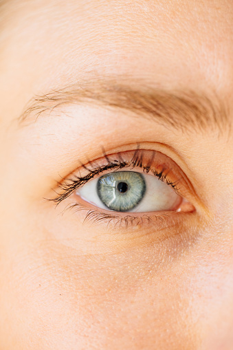 Beautiful iris of human eye gray green closeup. Female eye and eyelashes with mascara