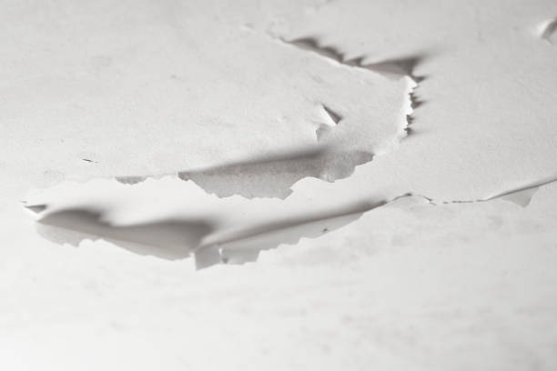 istock Damaged bathroom ceiling with cracked and peeling white paint on painted drywall 1389755525