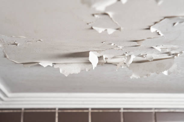 페인트 칠한 건식 벽체 클로즈업에 금이 가고 벗겨지는 흰색 페인트가있는 욕실 천장이 손상되었습니다. 아파트 방의 습도와 ��습기 - paint peeling wall cracked 뉴스 사진 이미지