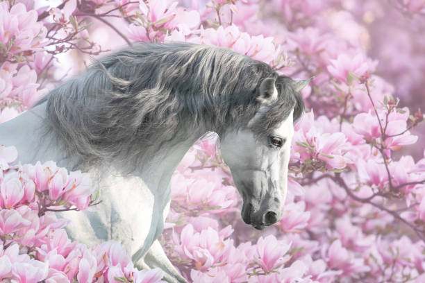 istock Horse in magnolia flowers 1389756800