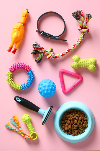 Set of pet accessories on pink background. Pet care and training concept. Flat lay, top view, vertical.