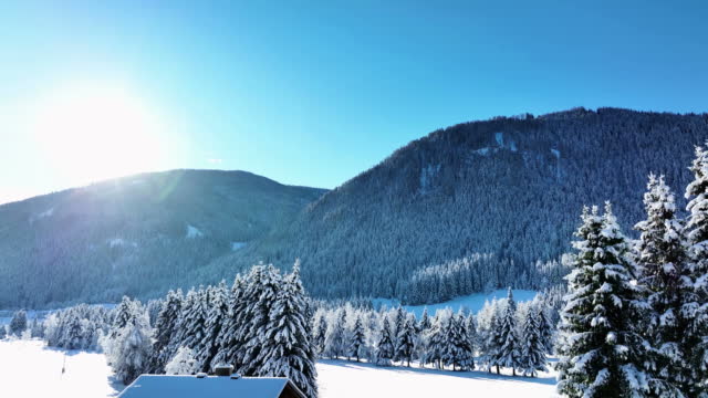 Alps in Winter stock video