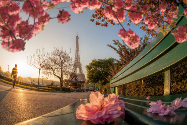 istock Eiffel Tower with spring trees in Paris, France 1389762527