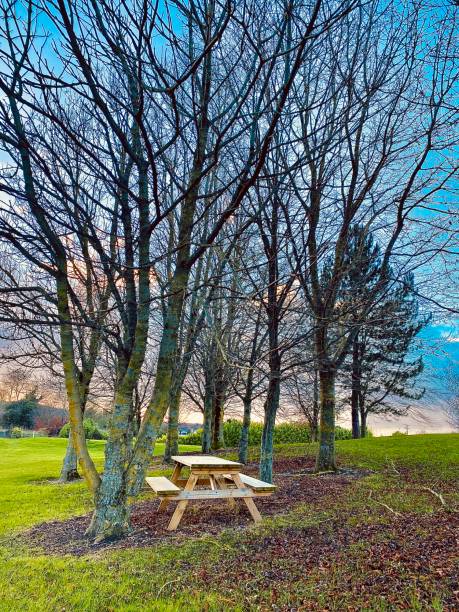 istock Perfect spot to write a love story! 1389765376