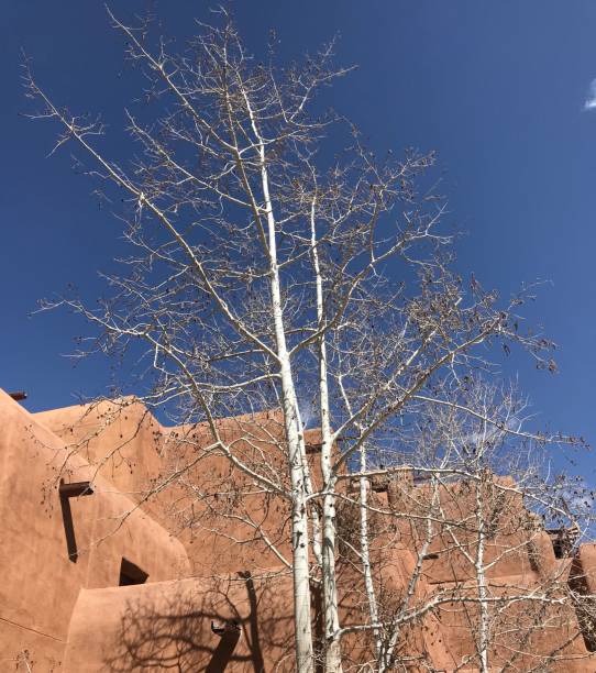 istock Santa Fe, New Mexico 1389767233